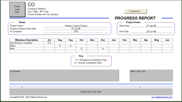 Monthly Status Report Template Excel from www.villagesoft.com